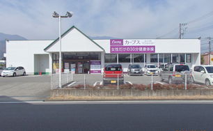 南巨摩郡富士川町青柳町　貸店舗（一部）